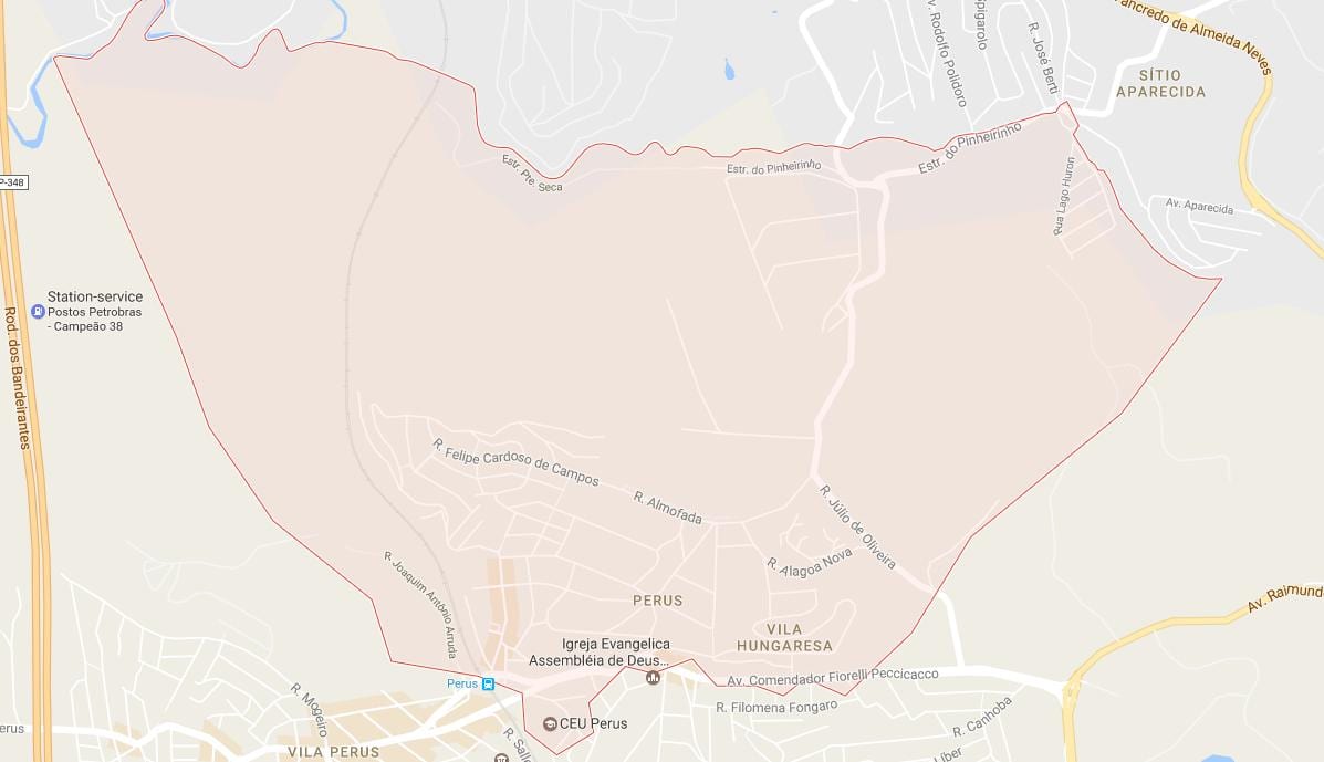 地图图案São Paulo